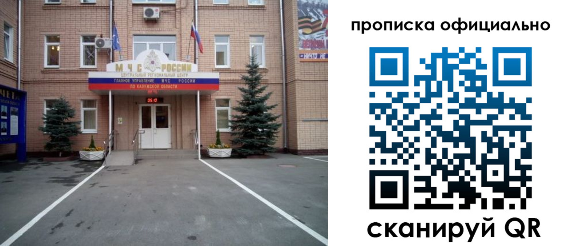 прописка для школы в Светлогорске